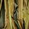 Yellow-Green-Multi Silk Iridescent Striped Taffeta Woven Fabric By the Yard